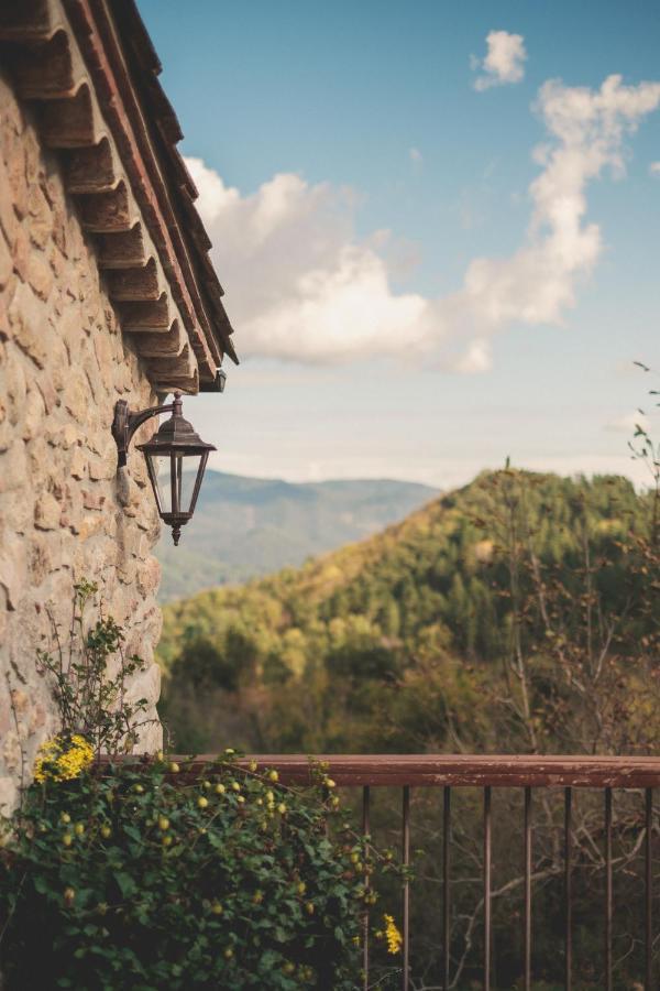 Agroturismo Mas Vilar, Feel At Home Arbúcies Buitenkant foto